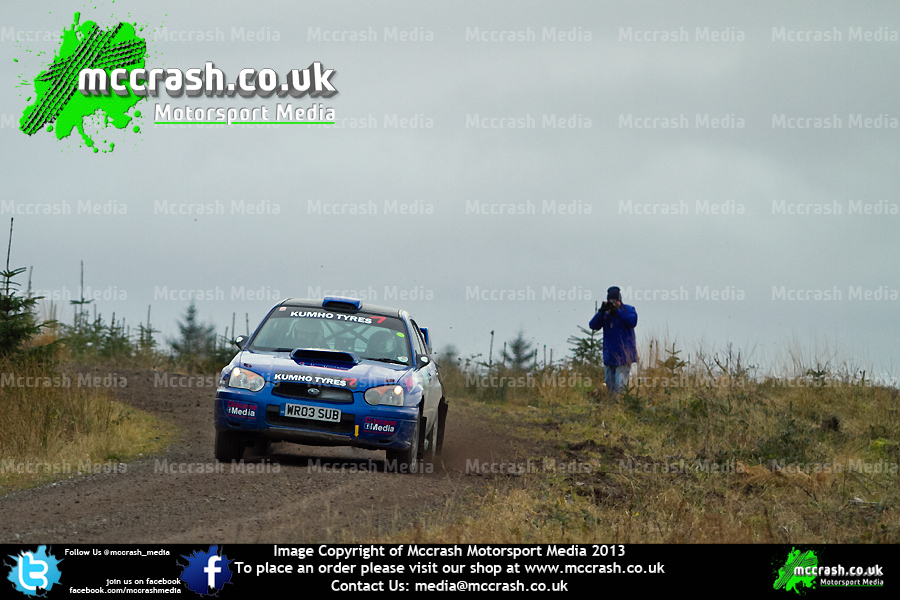GSR_2013_ (10)