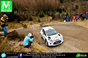 MWR_4wd_2013_ (75)