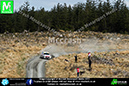 Pirelli_BRC2013_ (20)
