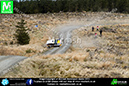 Pirelli_BRC2013_ (108)