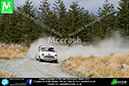 Pirelli_2013_0187 copy