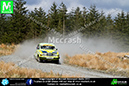 Pirelli_2013_0248 copy
