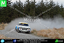 Pirelli_2013_0245 copy