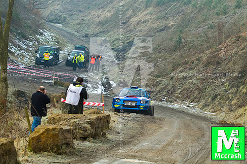 Riponian_2013_ (100)