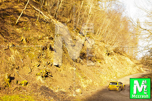 Riponian_2013_ (131)