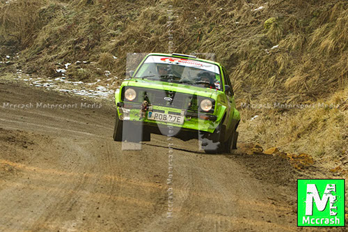 Riponian_2013_ (157)