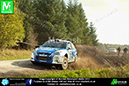 Trackrod Forest Stages 2013_ (4)